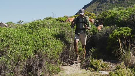 African-american-man-hiking-with-hiking-poles-in-mountain-countryside