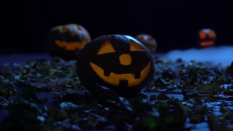 spooky halloween pumpkins in fog