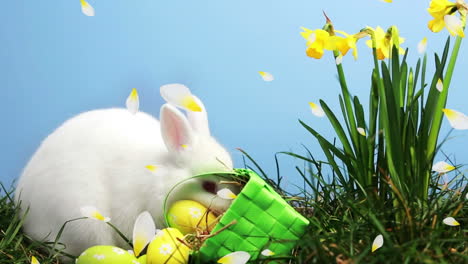 animación de pétalos de flores amarillas flotando sobre un lindo conejo de pascua con huevos amarillos