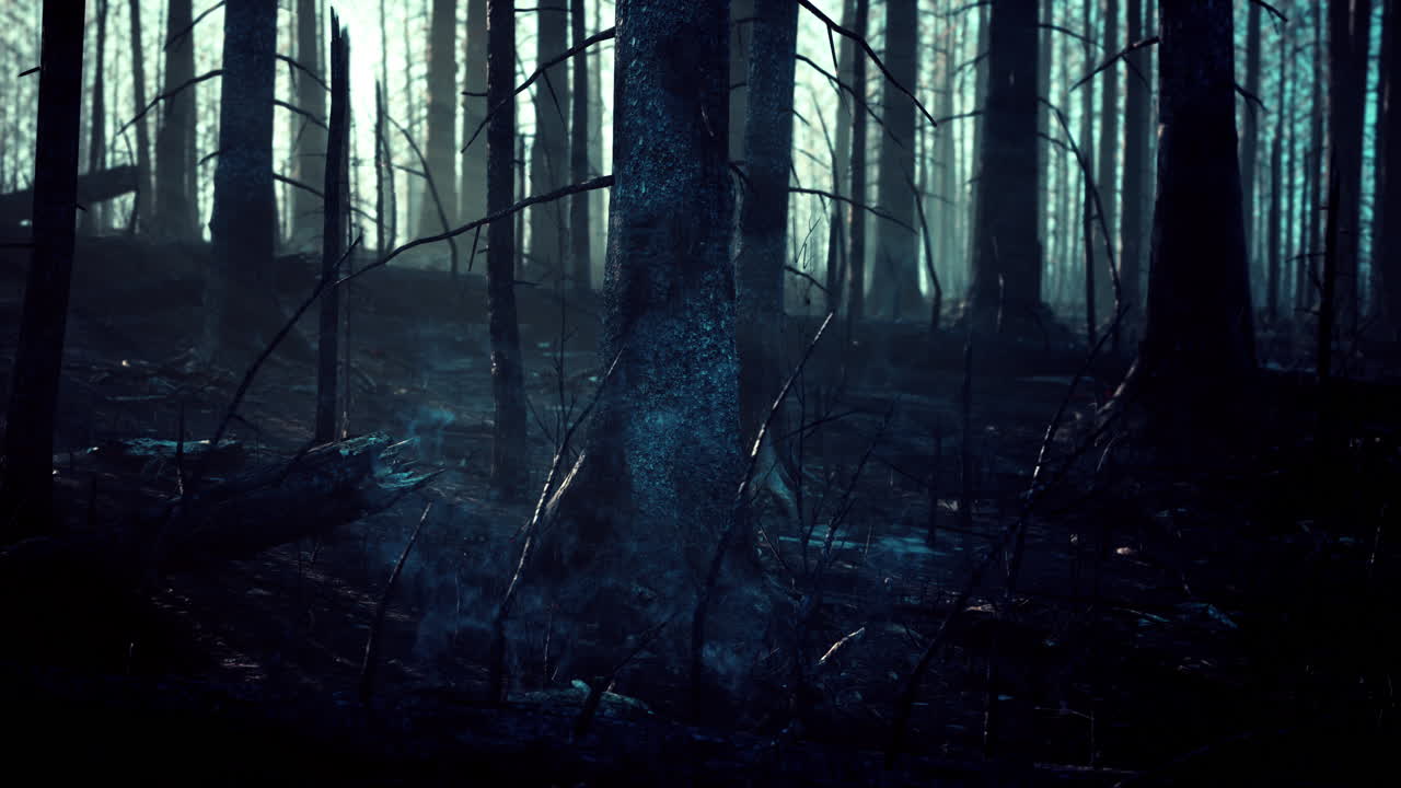 A burnt forest with smoke rising from the ground