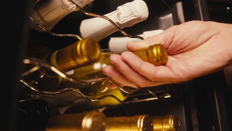 bodega de vino con la mano