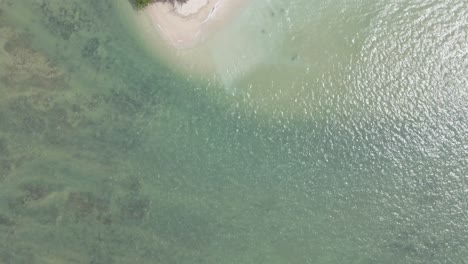 drone flies over clear sea onto lush green island