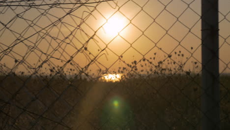 Sonnenuntergang-Hinter-Dem-Drahtgeflecht