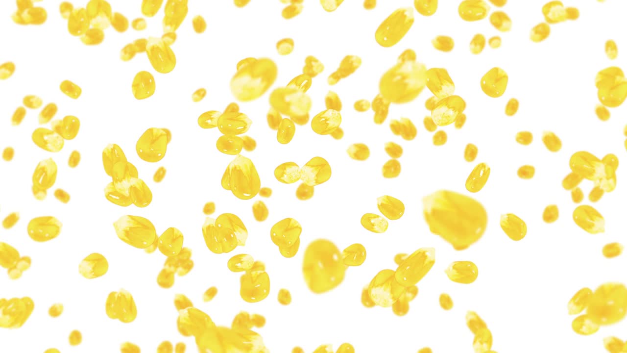 색 배경에 많은 옥수수 어리를 날려. 노란 달한 옥수스 씨. 채식주의자. 건강한 음식. 옥수수가 회전하는 3d 루프 애니메이션.