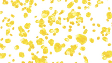 flying many corn grains on white background. yellow sweet corn seeds. vegetarian. healthy food. 3d loop animation of corn rotating.