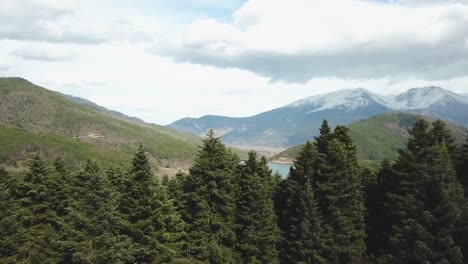 Drone-shot-while-taking-off-from-a-forest-and-above-the-trees-a-lake-is-uncovered