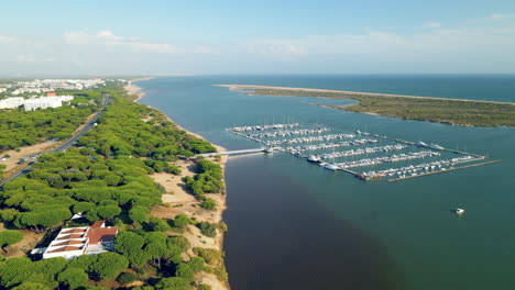 aerial view showing beautiful landscape with green trees on coastline and blue water with docking yachts and sailing boats in harbor of el rompido,spain