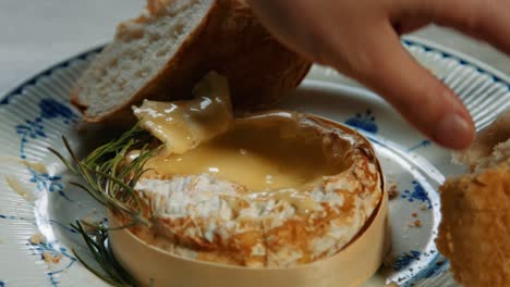 Baguette-Von-Hand-In-Gebackenen-Französischen-Camembert-Mit-Rosmarin-Tauchen