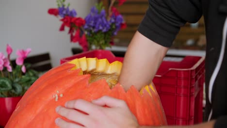 desseding a big spooky pumpking for halloween holiday decoration, scary jack-o-lantern carving close-up