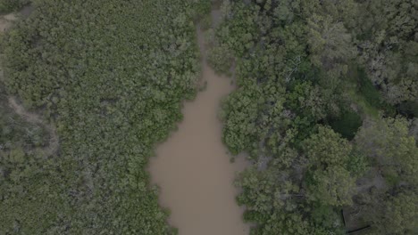 Narrow-Stream-With-Mangrove-Forests-At-Tallebudgera-Creek-In-Gold-Coast,-Queensland-Australia