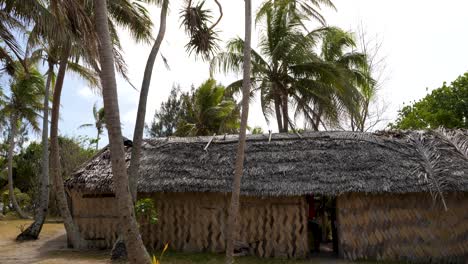 traditional thatched hut on a tropical island