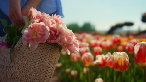 Primer-Plano-Hermosas-Flores-En-Flor-En-La-Cesta.-Mujer-Desconocida-Caminando-Con-Ramo