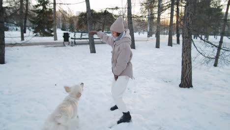 woman and dog playing in the snow