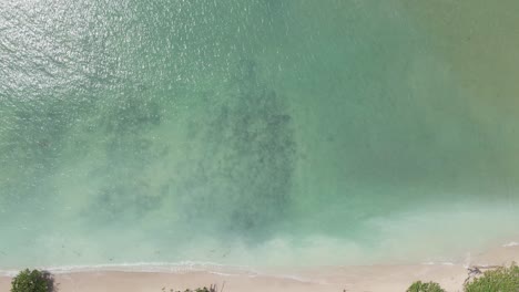 antena: mirando hacia abajo a través del agua clara hacia los arrecifes de coral.