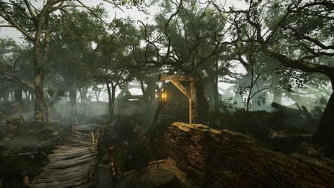 dense wooded area