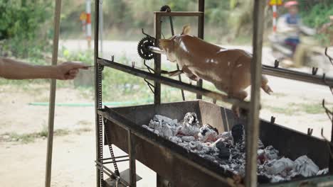 roasting a pig