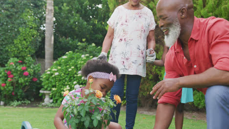 happy senior african american grandparents with grandchildren working in garden