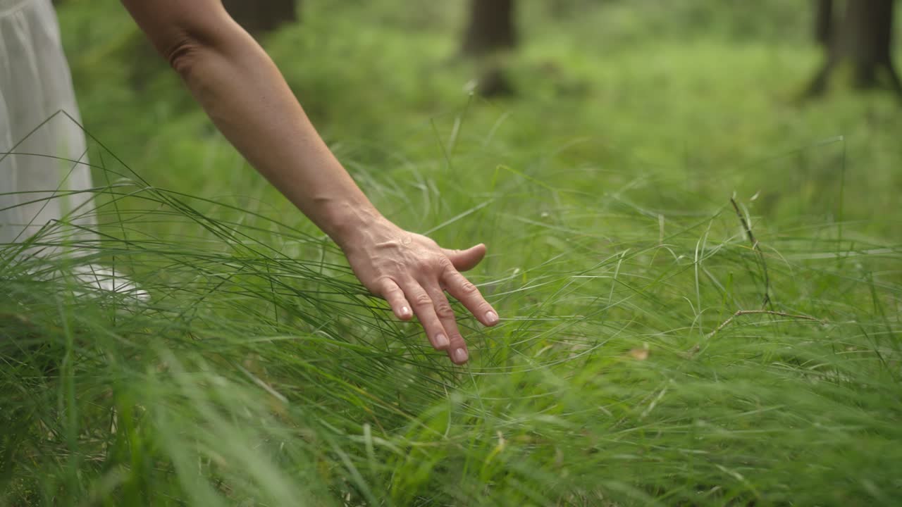 Woman's hand gently brushing through tall green grass in a forest, symbolizing harmony and connection with nature.