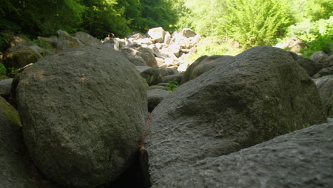 felsenmeer in odenwald sea of rocks wood nature tourism steady shot