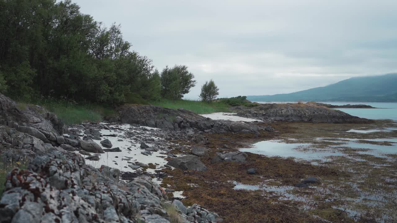 кавказский мужчина гуляет по скалистому берегу с домашней собакой