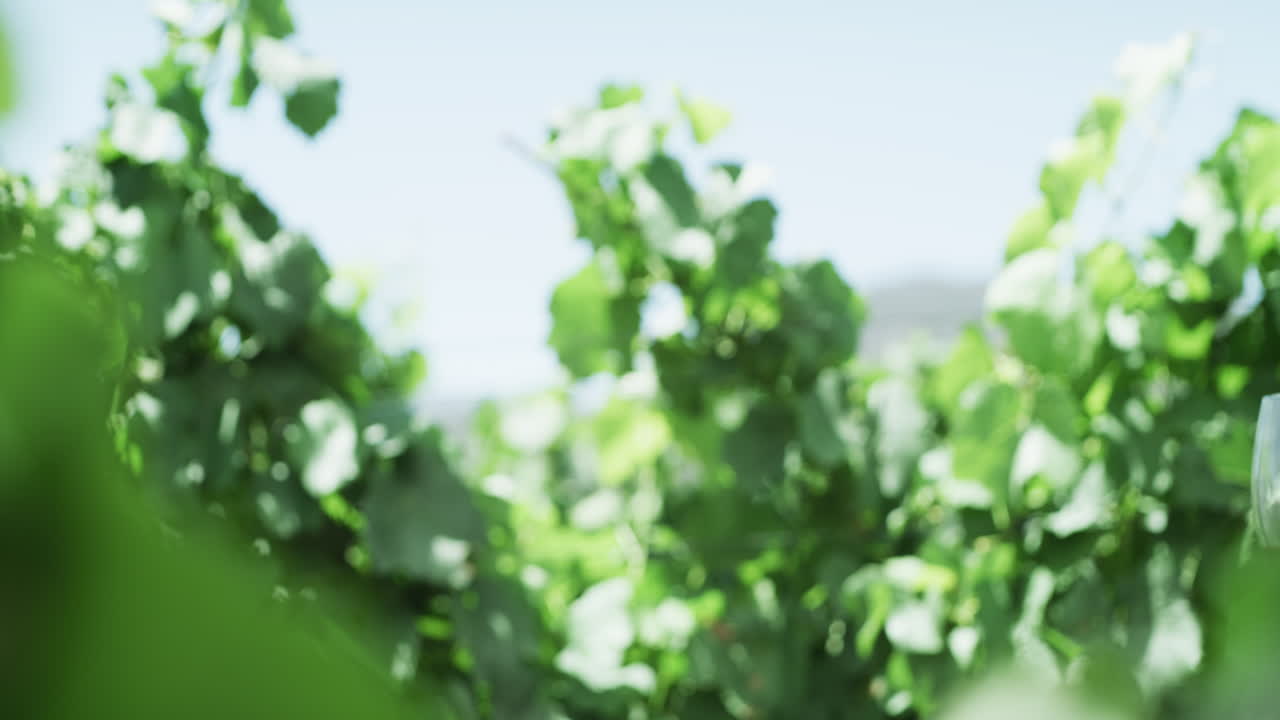 우리한테 건강해