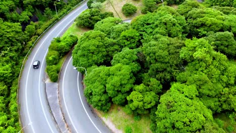 La-Mejor-Vista-En-Kamakura