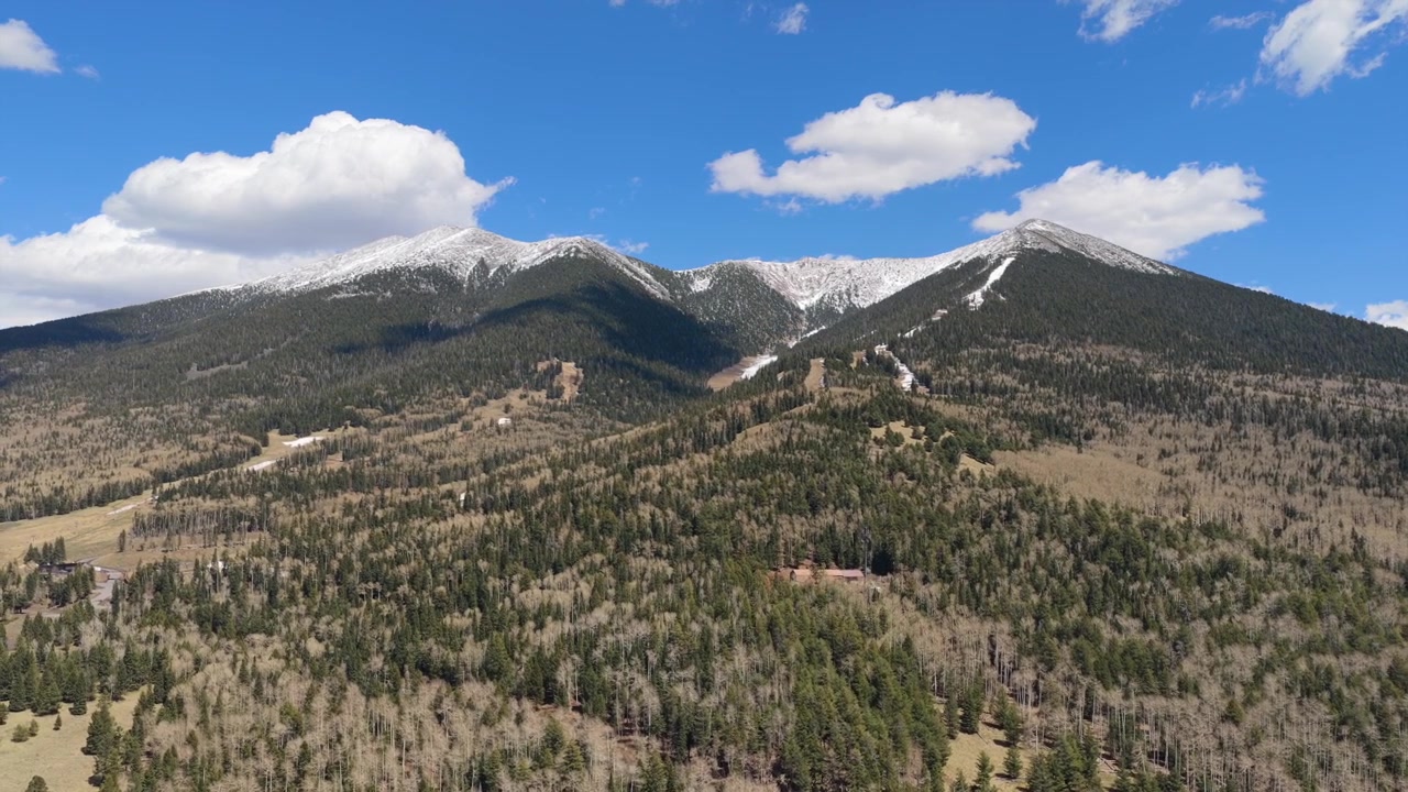 Video drone 4K che riprende le piste dell'Arizona Snowbowl. Filmati aerei cinematografici mostrano sciatori su piste innevate circondati da foreste di pini e aspre cime montuose sotto un cielo invernale blu