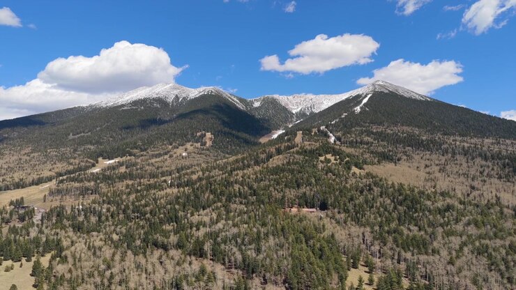 Video drone 4K che riprende le piste dell'Arizona Snowbowl. Filmati aerei cinematografici mostrano sciatori su piste innevate circondati da foreste di pini e aspre cime montuose sotto un cielo invernale blu
