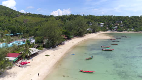 tropical beach with boats