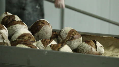 bakery - baker transferring the freshly baked sourdough bread from the oven