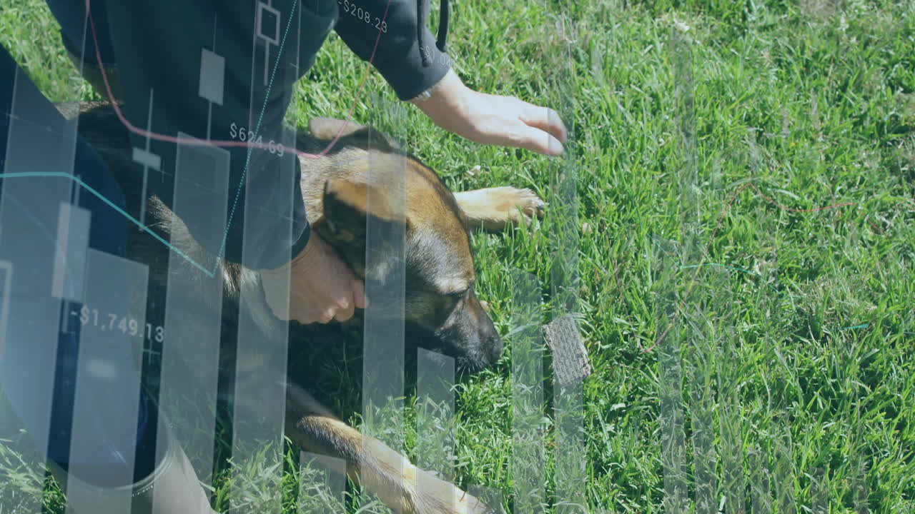 Senior woman kneeling fitting muzzle on dog in grassy field, showing finance candlestick overlay