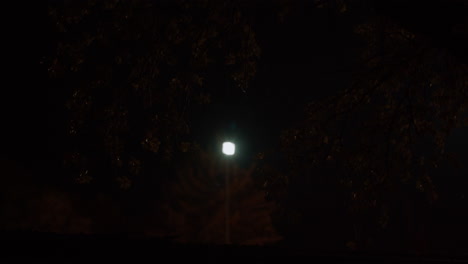 linterna estropeada que parpadea por la noche 6