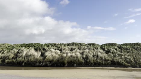 viento y arena en una carretera costera cerca de las dunas