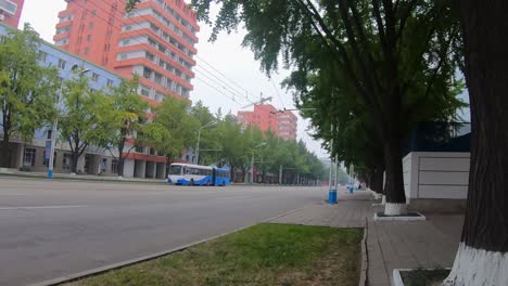 Niño-Pov-Caminando-Por-La-Calle-Sungri-Bordeada-De-árboles-Durante-El-Día,-Pyongyang,-Corea-Del-Norte