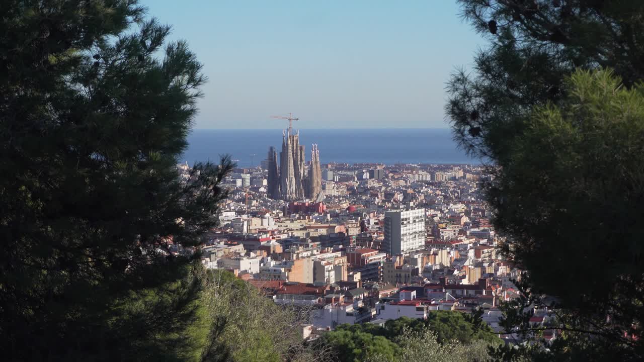 Revealing Shot of the Sagrada Familia and Barcelona between two Meditarranean Pines on a Sunny Day