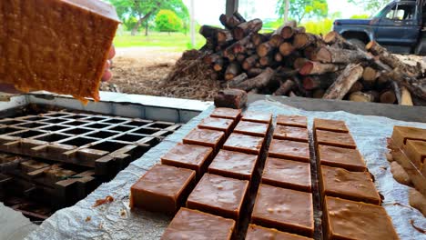 freshly cut brown sugar blocks made by hand using a traditional method in venezuela