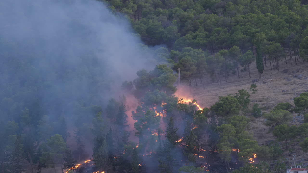Close-up of a devastating forest fire consuming pine trees in the mountains of Jaén, Andalusia. Dense smoke and intense flames. Impact of climate change