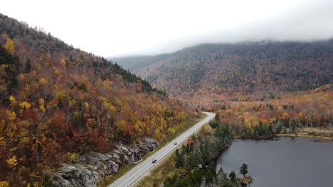 aerial view of autumn foliage of white mountain national forest new hampshire