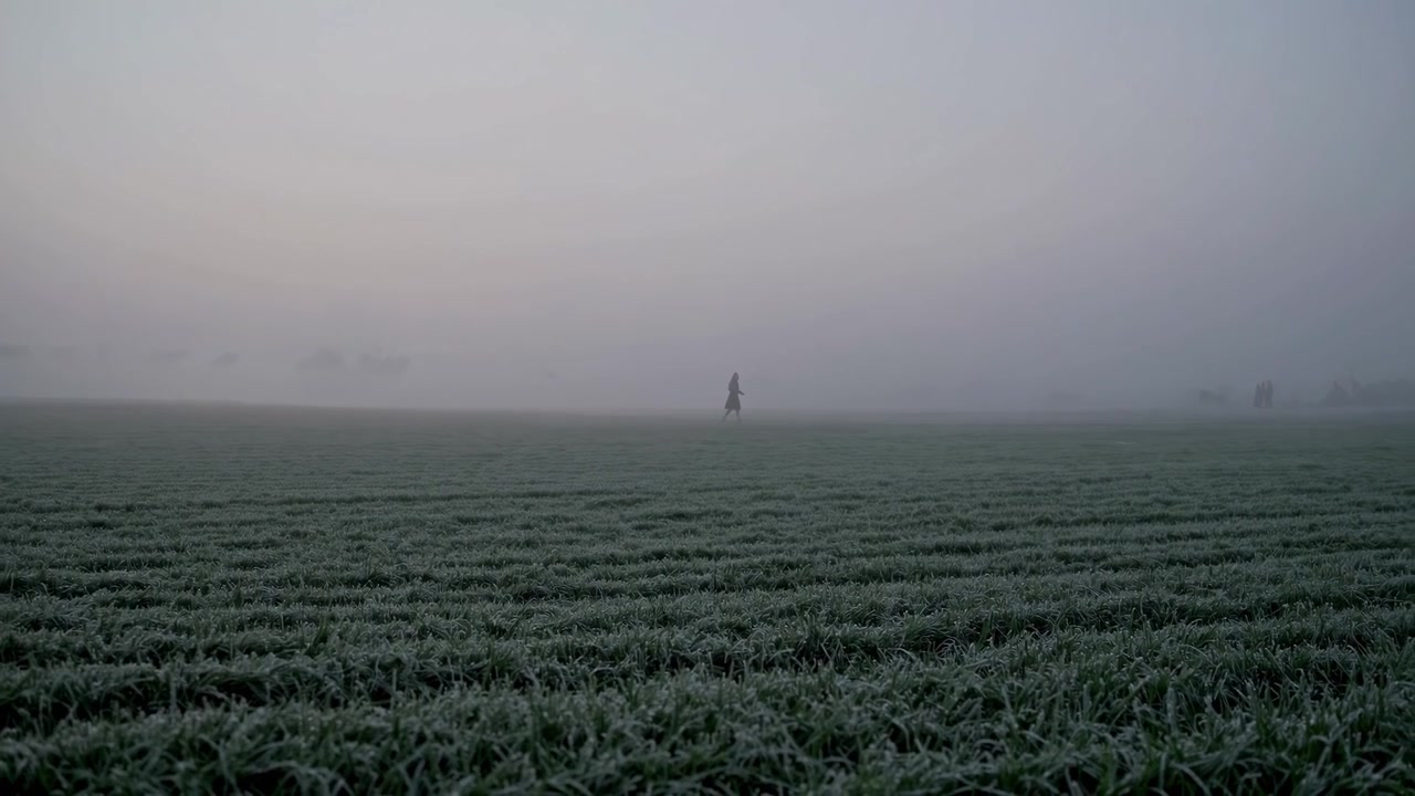 Persona che cammina da sola attraverso un campo nebbioso e ghiacciato all'alba