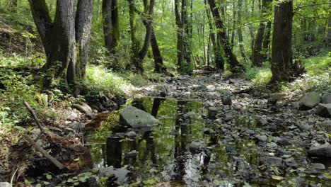 Imágenes-De-Drones-Muy-Bajas-De-Un-Pequeño-Río-En-El-Bosque,-Movimiento-Lento-Río-Abajo,-Horario-De-Verano,-Tzarevo,-Bulgaria-2