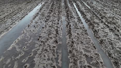 ploved field. cultivation. flooded fields. europe