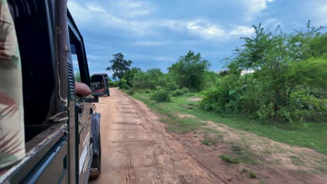 safari jeep overtaking another on a dirt road in sri lanka's udawalawe national park. experience the adventure and stunning natural surroundings common to this wildlife destination.