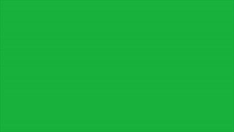 the airplane flies on green background (chromakey)