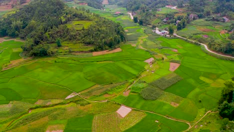 lush green rice fields nestled in a valley of northern vietnam's ma pi leng pass
