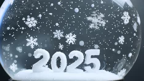 snow globe with 2025