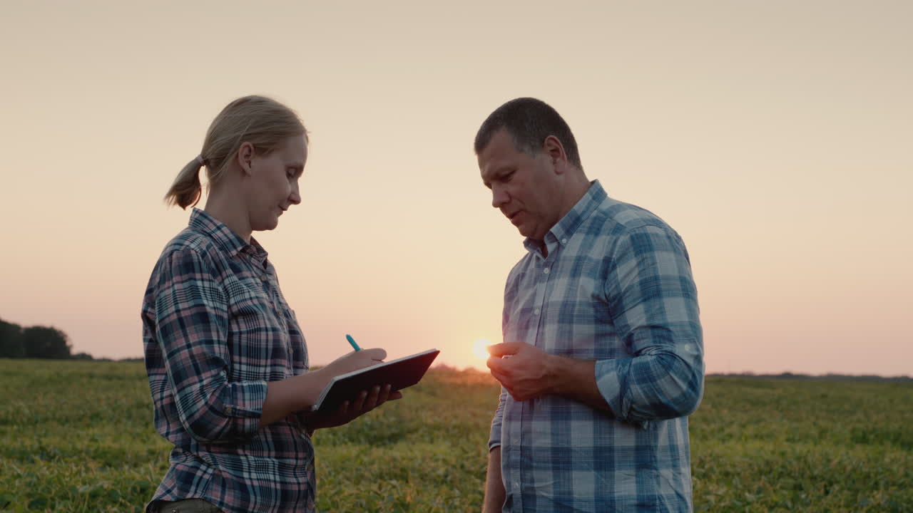 dos granjeros trabajan en un campo y estudian plantas y toman notas