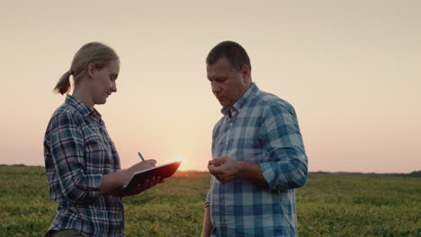 two farmers work in a field and study plants and make notes