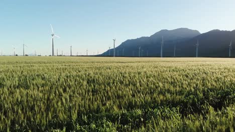 Gesamtansicht-Von-Windkraftanlagen-In-Ländlicher-Landschaft-Mit-Wolkenlosem-Himmel