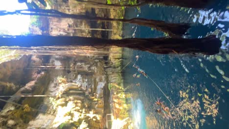 video of woman jumping off the platform into the crystal clear water of the cenote oxman and peoples swim