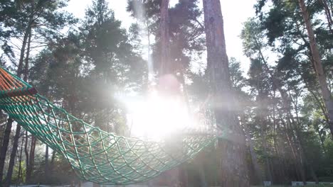 green hammock in the woods it swings green hammock in the woods it swings the concept of outdoor recreation